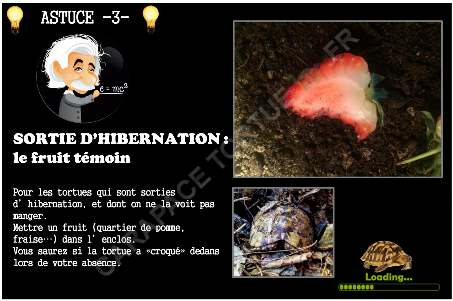 3 astuce