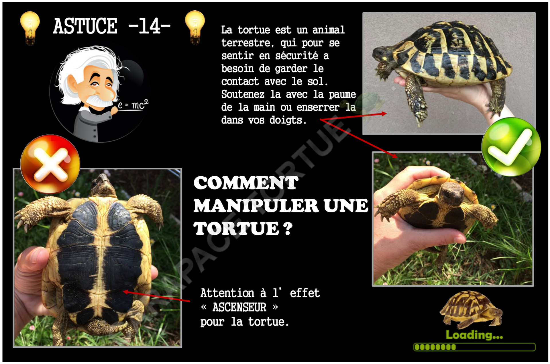 Astuce 14