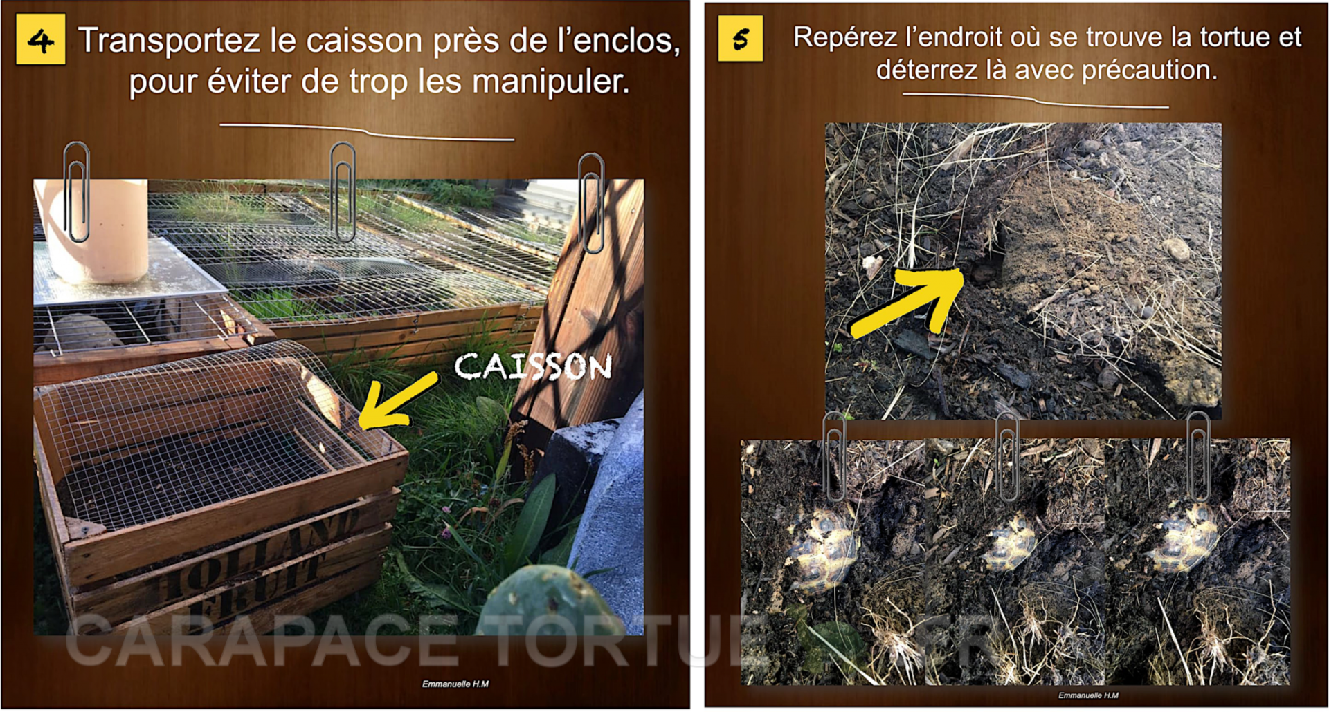 Caisson n 3