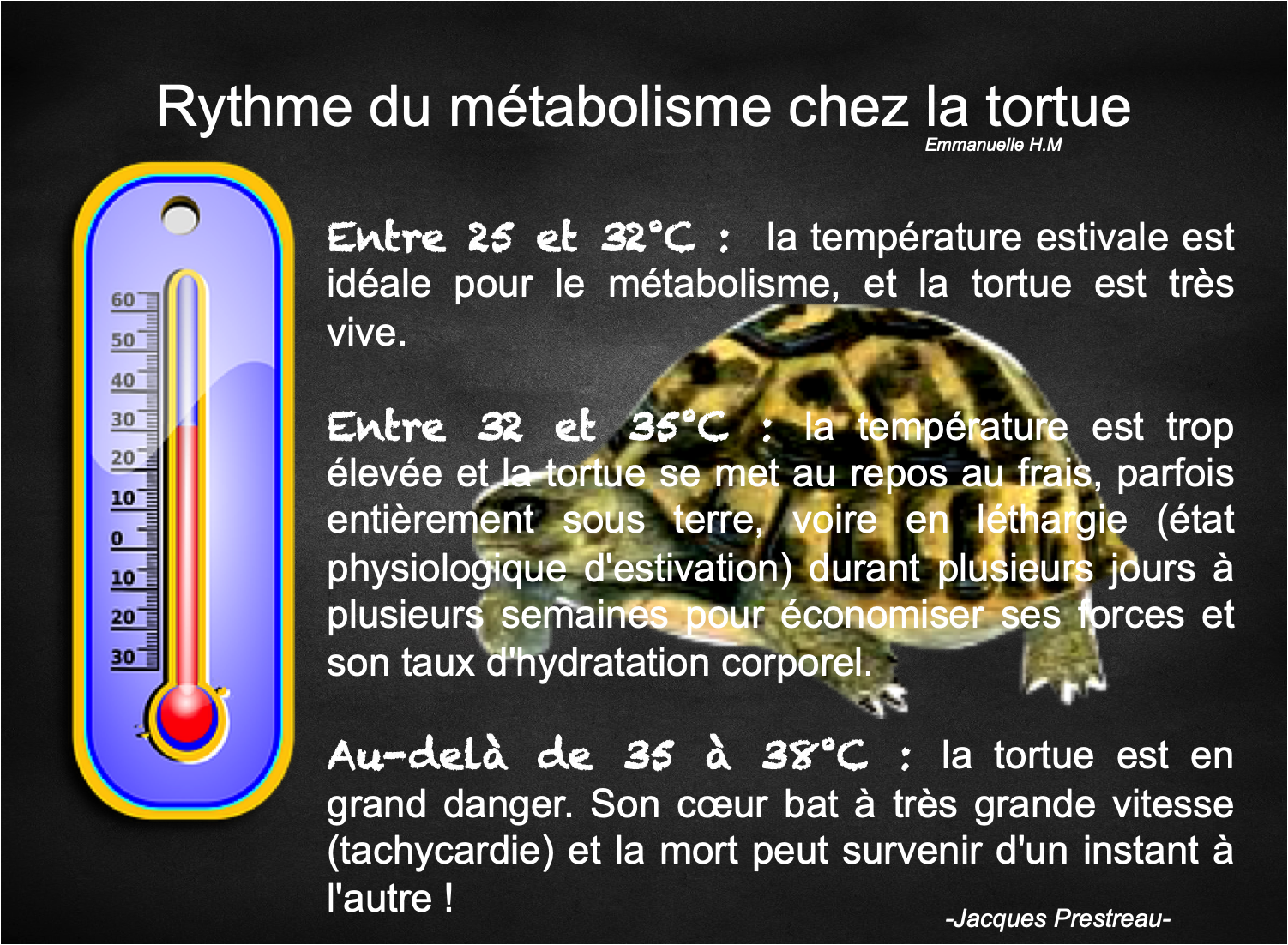Canicule 01