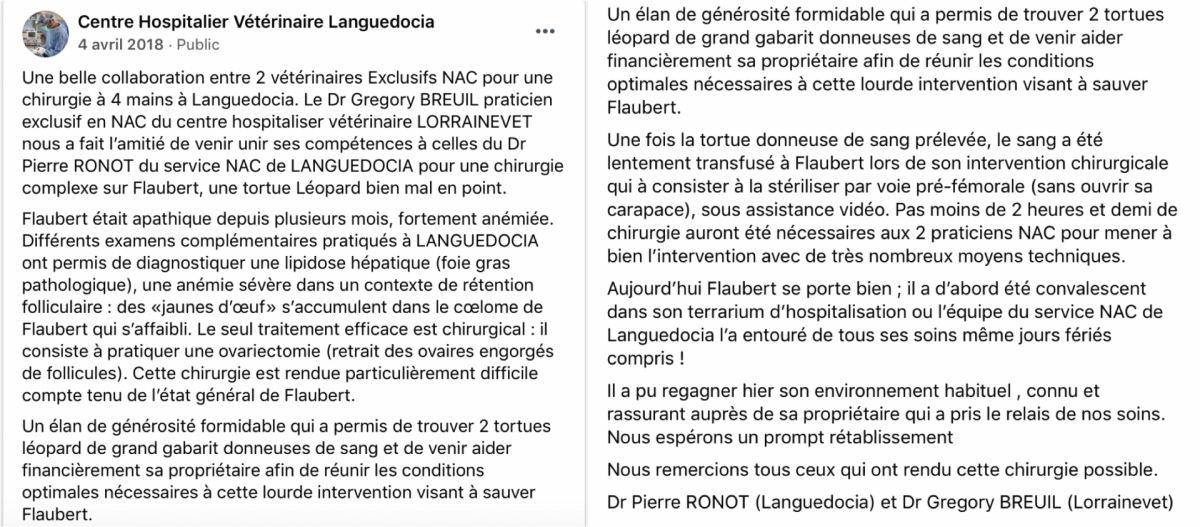 Compte rendu flaubert