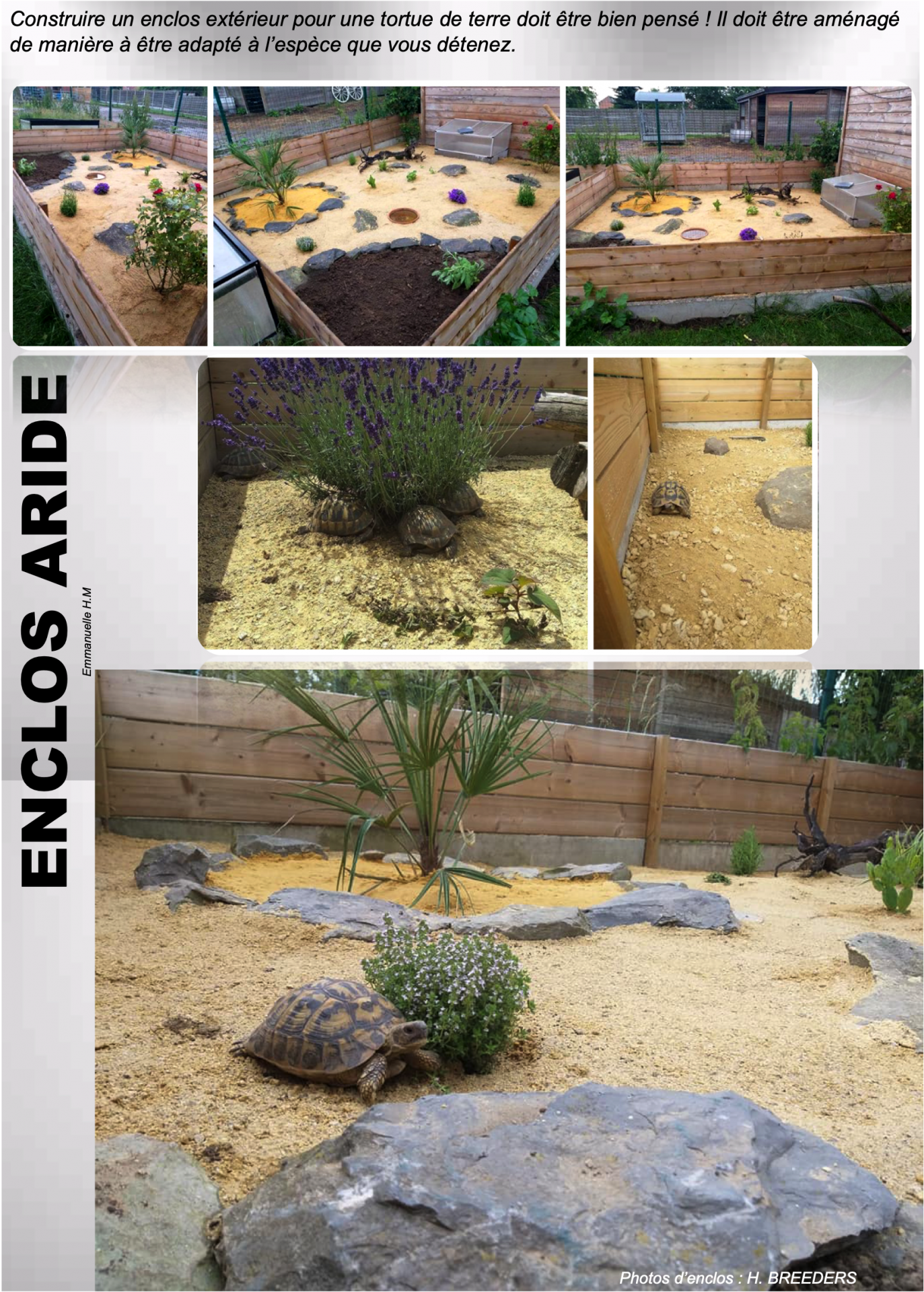 Enclos aride 2