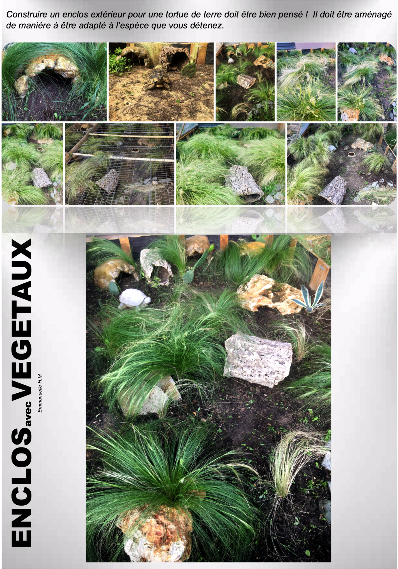 Enclos vegetaux 4
