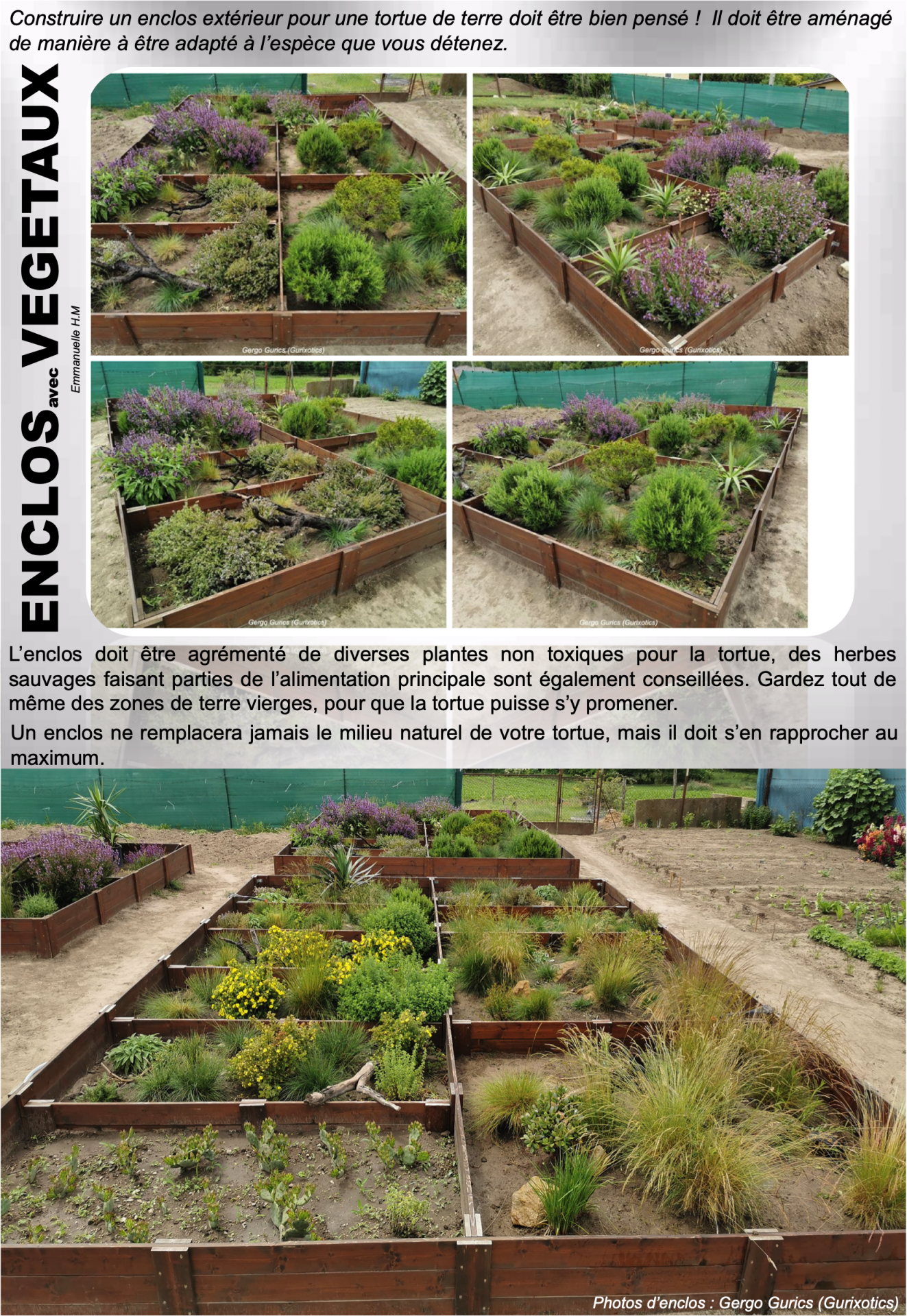 Enclos vegetaux