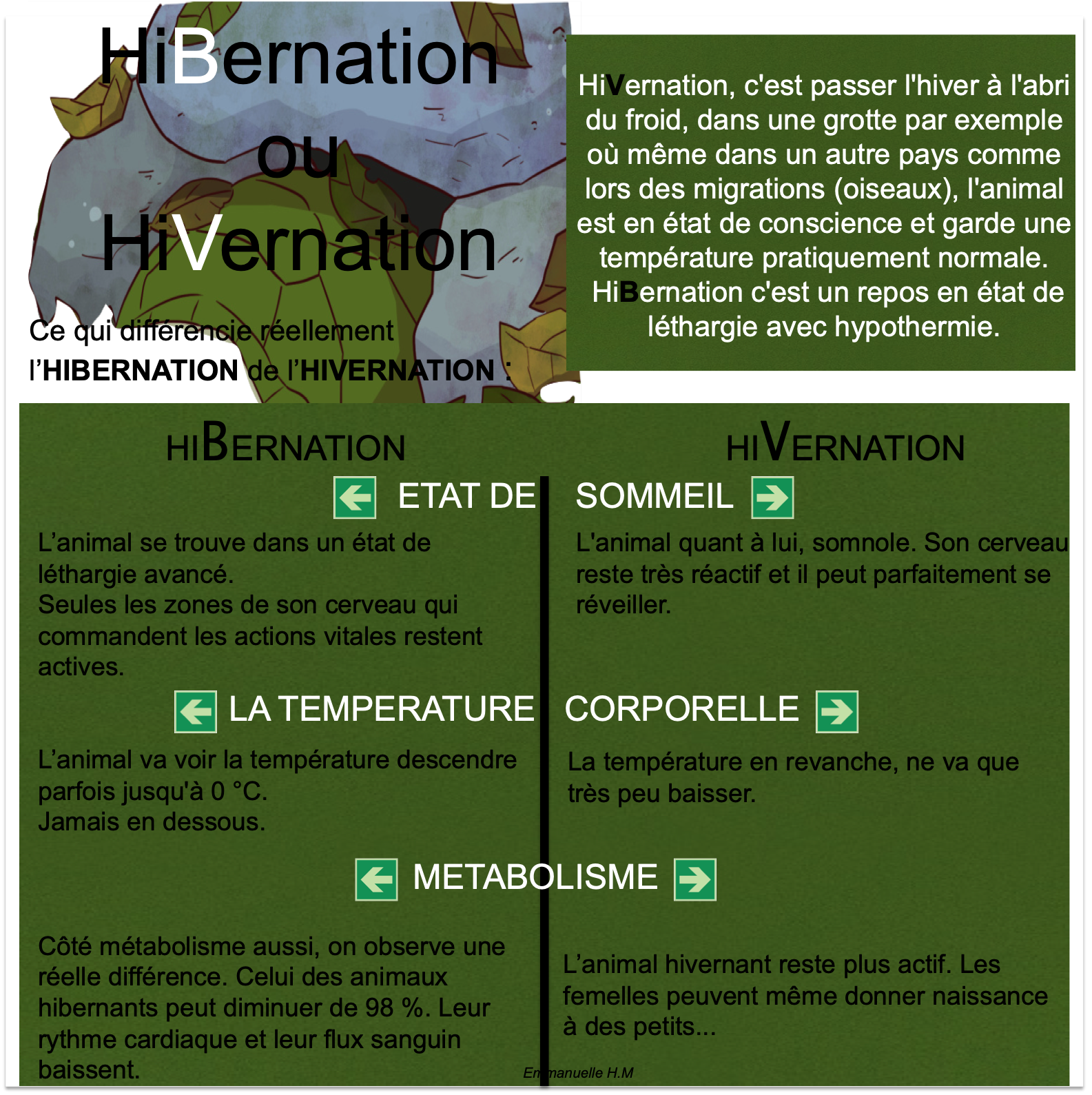 Hibernation ou hivernation