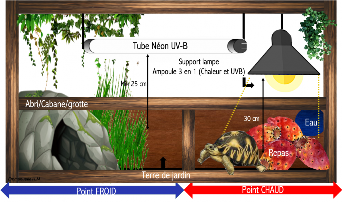 Sche ma terrarium